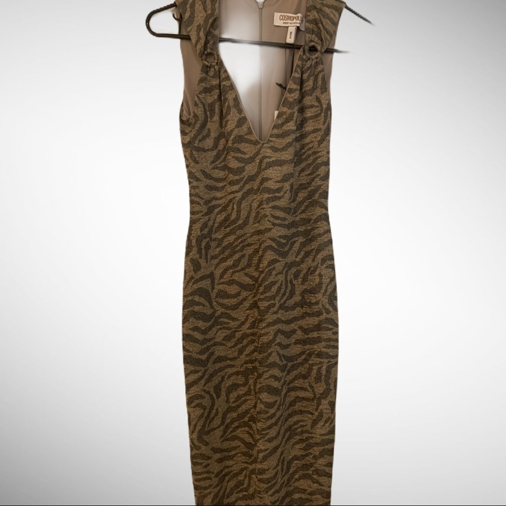 Cosmopolitan Dress the Population Dress, s…